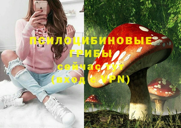 прущие крисы Алзамай