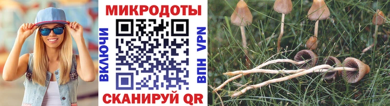 Псилоцибиновые грибы Psilocybe мориарти как зайти Поронайск купить